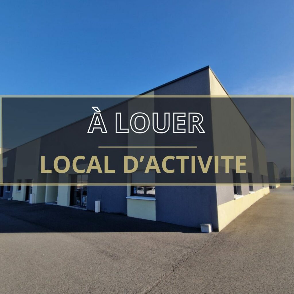 Immobilier Professionnel à louer