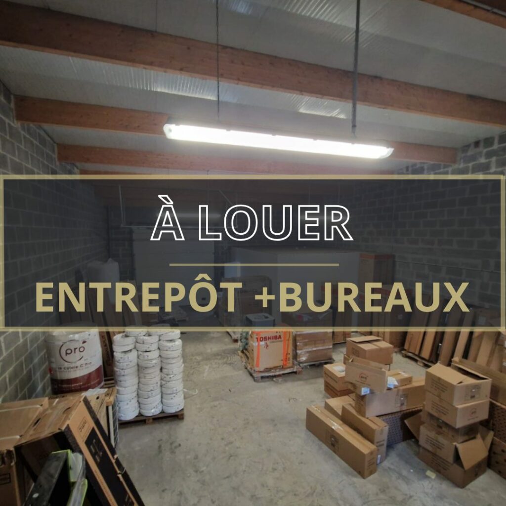 Immobilier Professionnel à louer