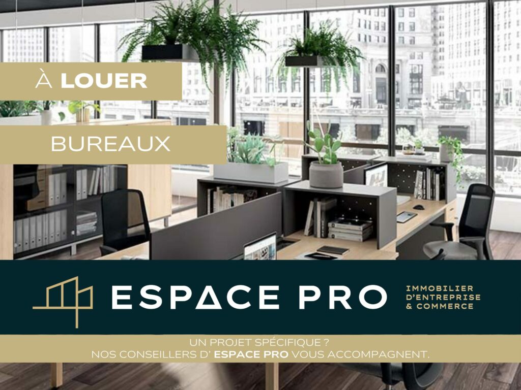 A louer bureau/local professionnel