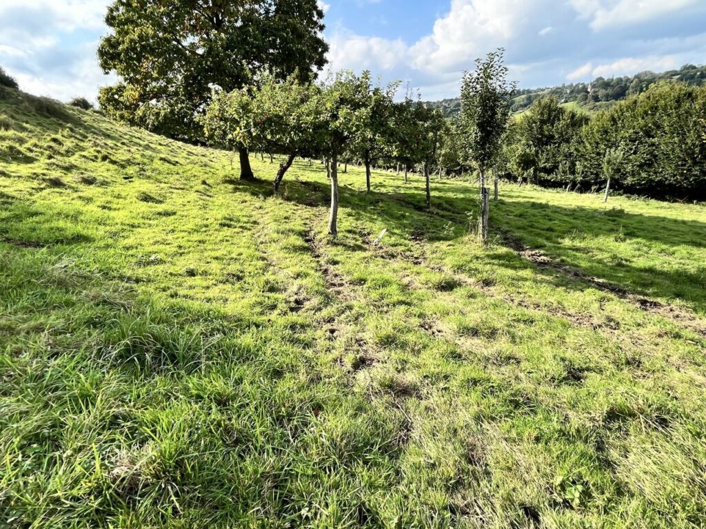 Maison à vendre Lisieux