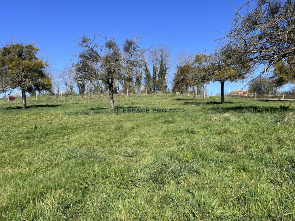 Terrain constructible